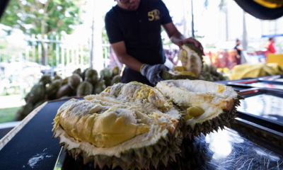 Malaysia’s Durians are The Best in The World, Chinese VIP Says - WORLD OF BUZZ 4