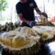 Malaysia’s Durians are The Best in The World, Chinese VIP Says - WORLD OF BUZZ 4
