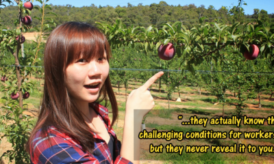 This Malaysian Went Undercover to Expose Modern Slavery in Australian Fruit-Picking Farms - WORLD OF BUZZ