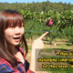 This Malaysian Went Undercover to Expose Modern Slavery in Australian Fruit-Picking Farms - WORLD OF BUZZ