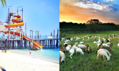 X of Johor’s Best Kept Secrets That Malaysians Should Definitely Visit - WORLD OF BUZZ 9