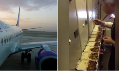 Air Stewardess Caught on Camera Eating Passenger's Leftover Meal, Gets Suspended - WORLD OF BUZZ 4