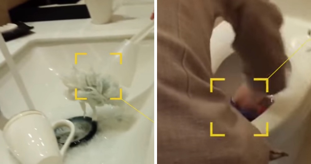 Cleaners at Five-Star Hotels Caught Using Toilet Brushes to Clean Customers' Cups and Sinks - WORLD OF BUZZ 2
