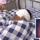 'Fake' MP3 Device from China Explodes in Young Boy's Face, Causes Serious Injuries - WORLD OF BUZZ