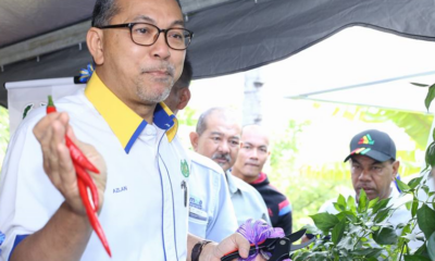 "Grow Your Own Vegetables at Home to Reduce Expenses," M'sian Minister Says - WORLD OF BUZZ 2