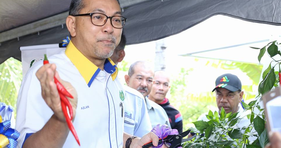 "Grow Your Own Vegetables at Home to Reduce Expenses," M'sian Minister Says - WORLD OF BUZZ 2