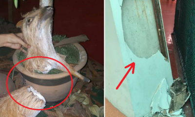 Malaysians Are Horribly Vandalising the National Science Centre Since Its Reopening - WORLD OF BUZZ