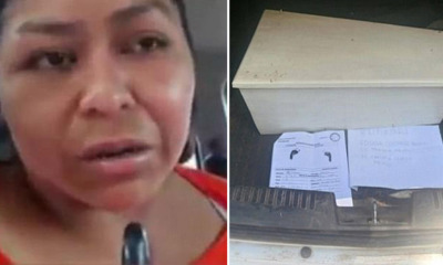 Baby's Head Decap - WORLD OF BUZZ