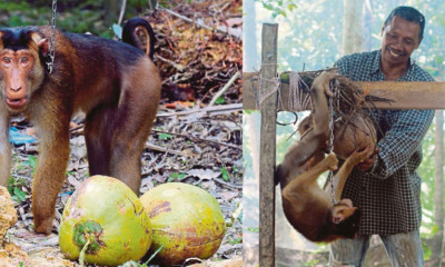 There I - WORLD OF BUZZ