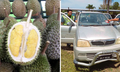 Man - WORLD OF BUZZ 4