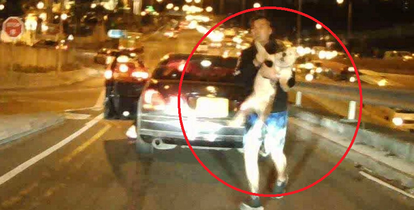 Couple Goes Viral After Running Away With Pet Dog After A Rear-ending A Car - WORLD OF BUZZ 2