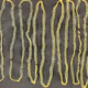 Man Passes Out 2.8M-Long Tapeworm from Rectum, Had Absolutely No Idea It Was Inside - WORLD OF BUZZ 2