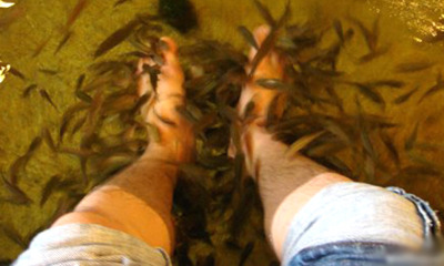 Man with Stinky Legs Goes for Fish Pedicure, Ends Up Killing All the Fish - WORLD OF BUZZ