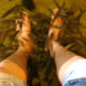 Man with Stinky Legs Goes for Fish Pedicure, Ends Up Killing All the Fish - WORLD OF BUZZ