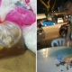 M'sian Man Asks for Discount on RM12 Bak Kut Teh, Turns Nasty When Rejected - WORLD OF BUZZ 2
