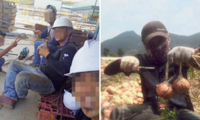 Report Reveals There Are Malaysians Working Illegally in South Korea for RM2,000 a Week - WORLD OF BUZZ 4