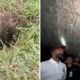 The First WW2 Bunker Ever Discovered in M'sia Was Just Found, Here's What You Should Know - WORLD OF BUZZ 12