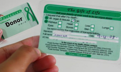 The Personal Data Of More Than 200,000 Malaysian Organ Donors Was Just Leaked Online - WORLD OF BUZZ 3