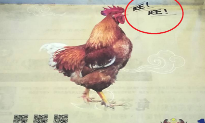 Local Newspaper Features 'Barking' Rooster Advertisement Receives Backlash From Netizens - WORLD OF BUZZ 4