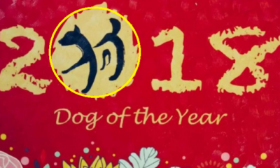 Malaysian Muslim Says He Sees No Issue with Receiving 'Dog' Printed Angpow - WORLD OF BUZZ 1