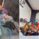 M'sian Family Has Been Living in Their Car for 2 Months Because Father Couldn't Get MyKad - WORLD OF BUZZ 9