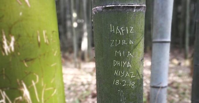 M'sian Tourists Allegedly Vandalise Bamboo at Japan UNESCO Heritage Site - WORLD OF BUZZ