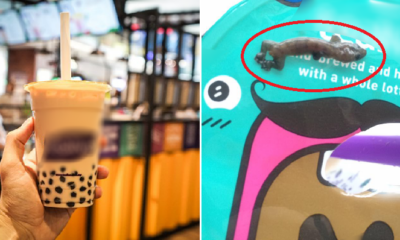 M'sian Traumatised After Spitting Out Lizard in Popular Bubble Tea Drink - WORLD OF BUZZ 3