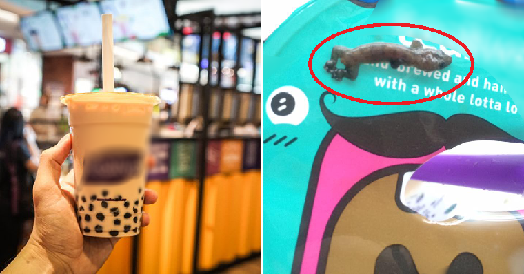 M'sian Traumatised After Spitting Out Lizard in Popular Bubble Tea Drink - WORLD OF BUZZ 3
