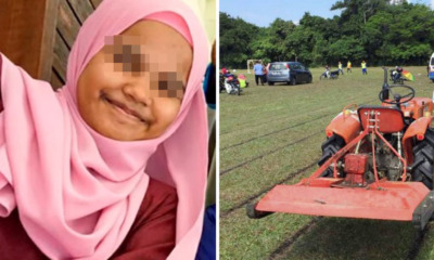 Tampin Police Release Lawnmower Operator As Investigations Continue - WORLD OF BUZZ 5