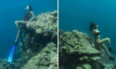 This is Why You Shouldn't Sit On Coral Reefs On Your Next Snorkeling Trip - WORLD OF BUZZ