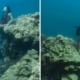 This is Why You Shouldn't Sit On Coral Reefs On Your Next Snorkeling Trip - WORLD OF BUZZ