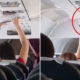Woman Takes Out Underwear to Dry On Plane, Leaves Passengers Stunned - WORLD OF BUZZ 3