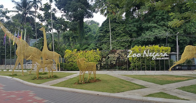 Zoo Negara is Offering FREE Entry to February Babies This Month! - WORLD OF BUZZ 1
