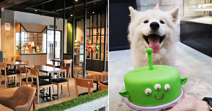 8 Unique Dog-Friendly Cafes M'sians Can Bring Their Fur-Kids to - WORLD OF BUZZ