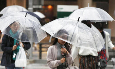 Does Covering Your Head From The Rain Really Prevent You From Getting Sick? - WORLD OF BUZZ 7