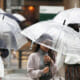 Does Covering Your Head From The Rain Really Prevent You From Getting Sick? - WORLD OF BUZZ 7