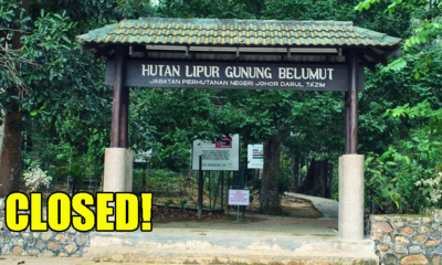 Johor Park Closed After Two Young Children Infected with Rat Urine Disease - WORLD OF BUZZ 5