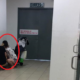 M'sian Expresses Displeasure at Tourists Cleaning Toddler Publicly in Sabah Shopping Mall - WORLD OF BUZZ 3