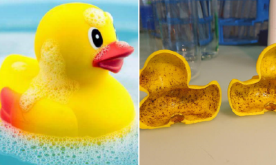 Study Shows Toy Rubber Ducks Have Millions of Bacteria Which Can Make Children Sick - WORLD OF BUZZ 2