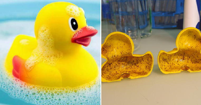 Study Shows Toy Rubber Ducks Have Millions of Bacteria Which Can Make Children Sick - WORLD OF BUZZ 2