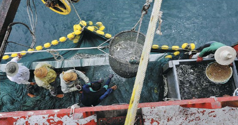 Fishermen in Kedah Unhappy Despite Government Handouts & Plan to Vote For Opposition - WORLD OF BUZZ 4