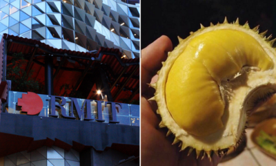 Guess Which Fruit Sent a Library Into Lockdown! - WORLD OF BUZZ