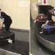 M'sian Airlines Should Learn How to Handle Luggages Like This Japanese Staff in Viral Video - WORLD OF BUZZ