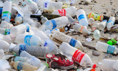 Scientists Discover New Enzyme That Could Decompose Plastic Waste Forever - WORLD OF BUZZ
