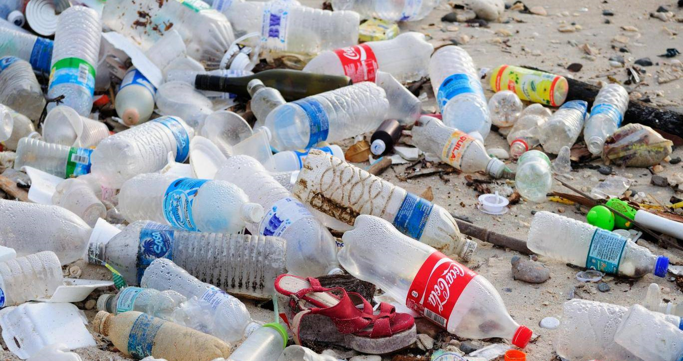 Scientists Discover New Enzyme That Could Decompose Plastic Waste Forever - WORLD OF BUZZ