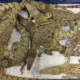 50 Live Crocodiles From M'sia Seized at London Airport, 10 Crammed into Each Box - WORLD OF BUZZ