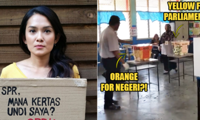Here are 9 Things That Went Horribly Wrong During GE14 - WORLD OF BUZZ 4