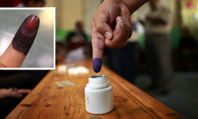 Here’s Why Indelible Ink Gets Darker And Why You Can’t Remove It - WORLD OF BUZZ 2