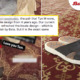 Malaysians Looking for Tun Mahathir's Slippers and Bata Responded! - WORLD OF BUZZ