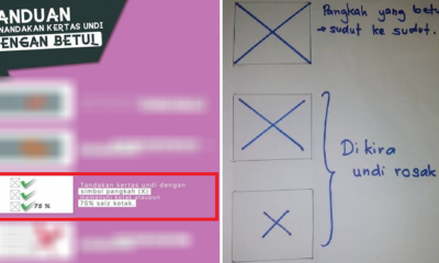 Stop Sharing This Fake Image of Incorrect Ways of Marking Your Ballot Paper - WORLD OF BUZZ